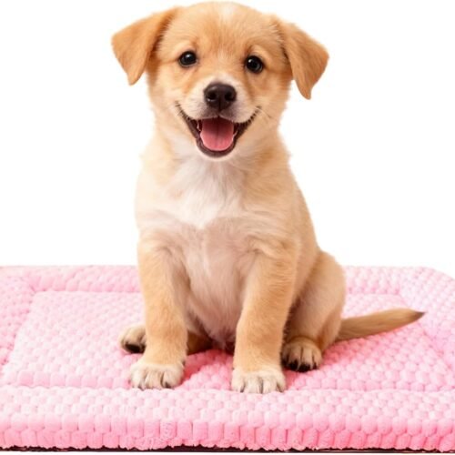 Dog mat