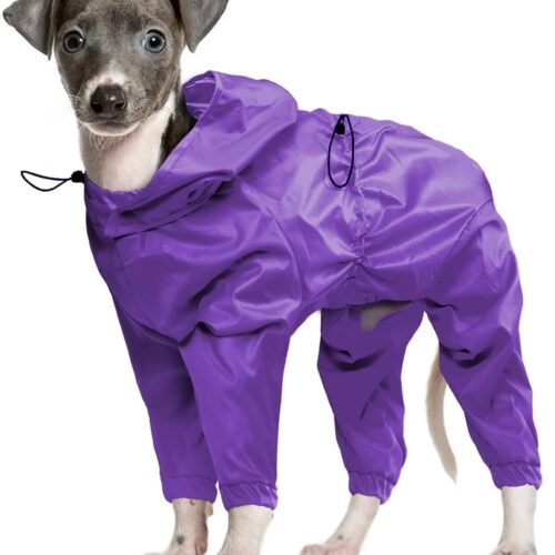Hooded Full Body Rain Jacket for Medium Dogs