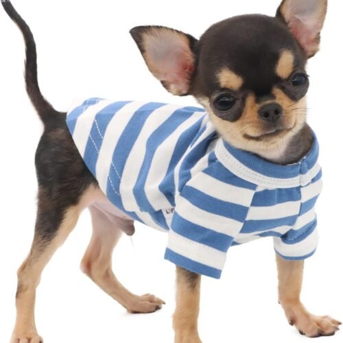 Cotton Striped Tee for Teacup Chihuahua