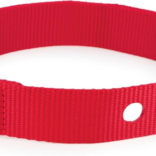 Replacement Collar Strap with 2 Holes
