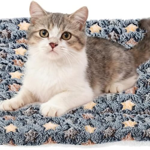 Dual-purpose cat and dog mat