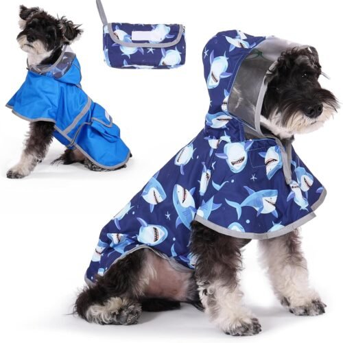 Reversible Double-Layer Hooded Raincoat with Pocket