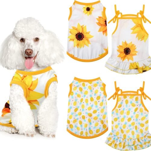 Cute Dress + Breathable T-Shirt Set