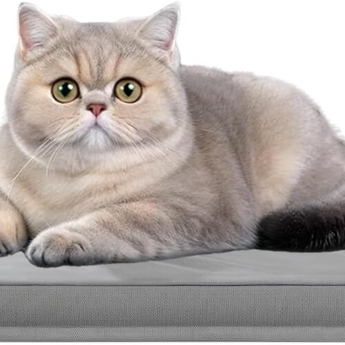 Scratch-resistant pet bed